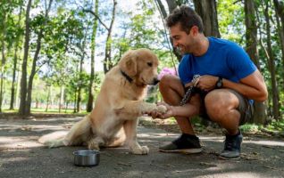 dog trainer antioch Gary Maria's Professional Dog Training