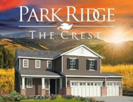 The Crest At Park Ridge | Davidon Homes