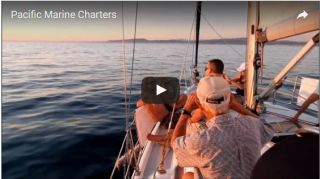 whale watching tour agency carlsbad Pacific Marine Charters