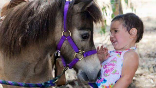 pony ride service fresno Host of Heaven Stables