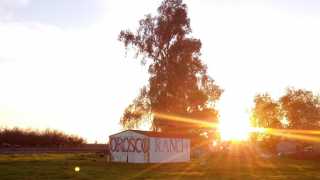 ranch fresno Orosco Ranch