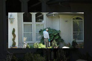 Pest Control — Man Spraying Pesticide on Plants in Fresno, CA