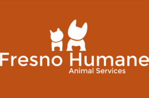 youth social services organization fresno Children's Protective Services