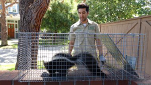 animal control service garden grove Anaheim Animal Exterminator
