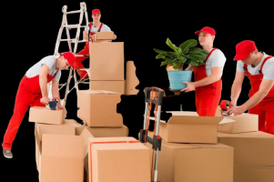 moving company garden grove Moving Packing Group