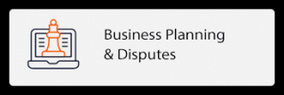 Best Business Planning & Disputes