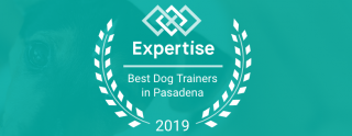 Voted Top Ten Dog Trainers in Pasadena for 2018 and 2019!
