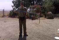 Jeremy captures a rattlesnake