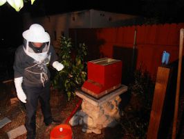 honey farm glendale Honey Bee Rescue - Humane Swarm Hive Wax Comb Nest Removal and Relocation