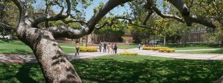 graduate school glendale UCLA Graduate Education