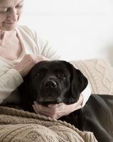We are trained and specialize in caring for your special needs pet.