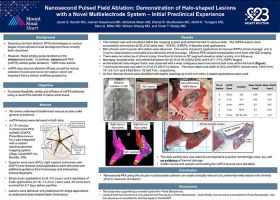 Nanosecond Pulsed Field Ablation: Demonstration of Halo-Shaped Lesions with a Novel Multielectrode System: Initial Preclinical Experience (Jacob S Koruth MD, et al.)
