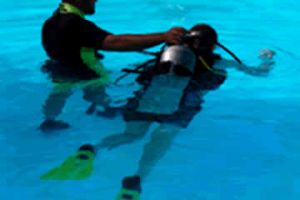 scuba instructor hayward Scuba Fusion Dive Center