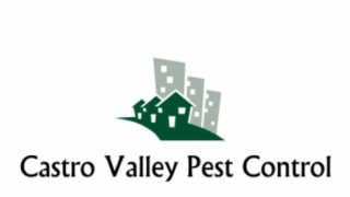 bird control service hayward Castro Valley Pest Control