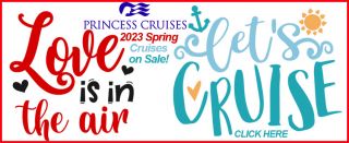 cruise line company hayward Figone Travel Group Inc. - The Cruise Marketplace