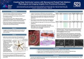 Creating Deep Ventricular Lesions with Nanosecond Pulsed Field Ablation: Pathological and Imaging Insights from Preclinical Evaluation (Iwanari Kawamura MD, et al)