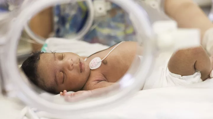 maternity hospital inglewood Children's Hospital Los Angeles : Maternal - Fetal Health