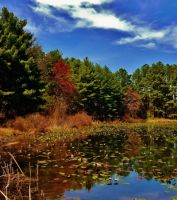 conservation department inglewood US Fish & Wildlife Services