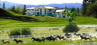 horse breeder inglewood Rancho Armendariz
