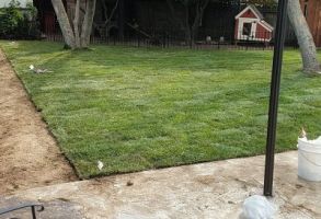 lawn sprinkler system contractor inglewood RotoTillerGuy ; Landscape Contractor | Sod | Sprinkler Installation & Repair