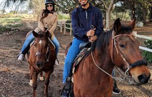 horse rental service irvine Horseplay Rentals