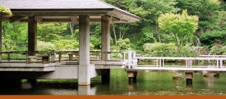 bonsai plant supplier irvine Akita Bonsai Nursery