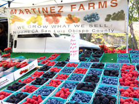 pick your own farm produce irvine Irvine Farmers Market