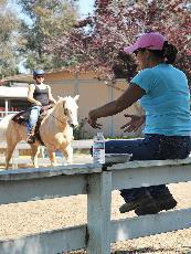 horse trainer irvine Leslie Thomson Training