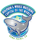 whale watching tour agency irvine Dana Point Whale Watching Company
