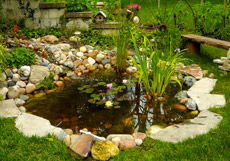 pond contractor irvine OC Pond & Fountain Care
