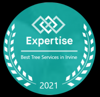 Recognized as #1 Best Tree Service Company in Irvine