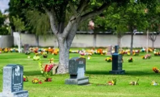 Cemetery Visitation