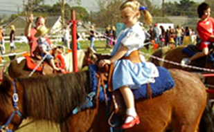 pony ride service lancaster Pony Pals