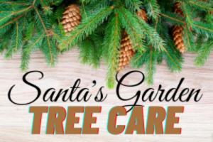 christmas tree farm long beach Santas Garden