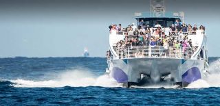 boat tour agency long beach Harbor Breeze Cruises