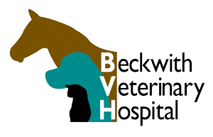 veterinarian modesto Beckwith Veterinary Hospital