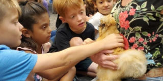 Critter Campers meeting a chicken at the Humane Society of San Bernardino Valley's June Critter Camp. ...