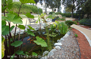 pond contractor moreno valley The Pond Digger