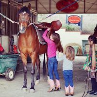 horse boarding stable moreno valley Canyon Lake Farm Equestrian Center