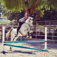 horse riding school moreno valley Canyon Lake Farm Training Center