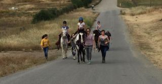 sport tour agency murrieta EQUU8 Horsemanship and Therapeutic Riding Temecula