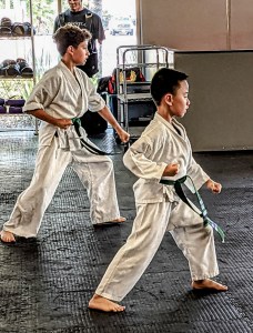 capoeira school murrieta Yamashita Karate Studio