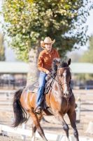 horse boarding stable murrieta Liberty Oaks Equestrian Training