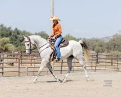 pony club murrieta Kathleen Elliott Certified Equestrian Training