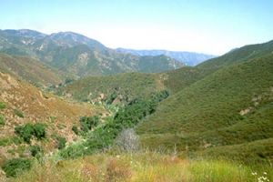 national forest murrieta San Mateo Canyon Wilderness