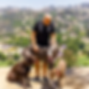 dog trainer norwalk OffLeash SoCal Dog Training - Long Beach