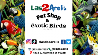 bird shop norwalk Las Dos Arelis Pet Shop & Exotic Birds
