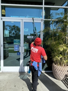 window cleaning service norwalk Fish Window Cleaning
