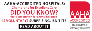 veterinarian norwalk Bloomfield Animal Hospital