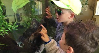 Kids looking through fish tank at Shorebird Park Nature Center